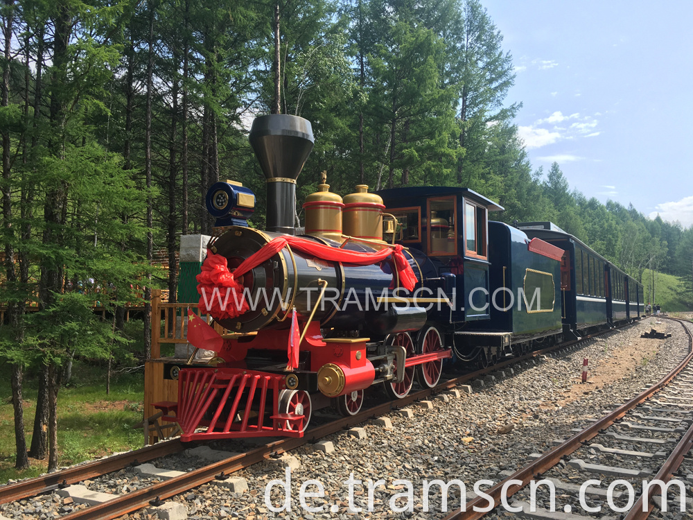 sightseeing train forest train with closed cars